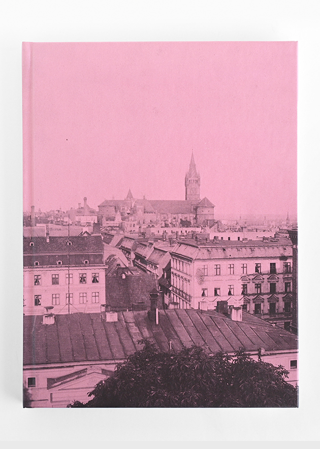 Город цветущих каштанов (розовая обложка)