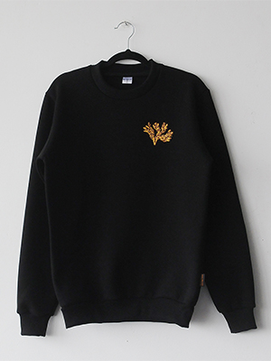 Изображение Свитшоты Свитшот Водоросли (размер M)