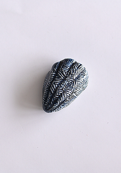 Изображение Магниты Магнит Морские обитатели, ракушка тёмная