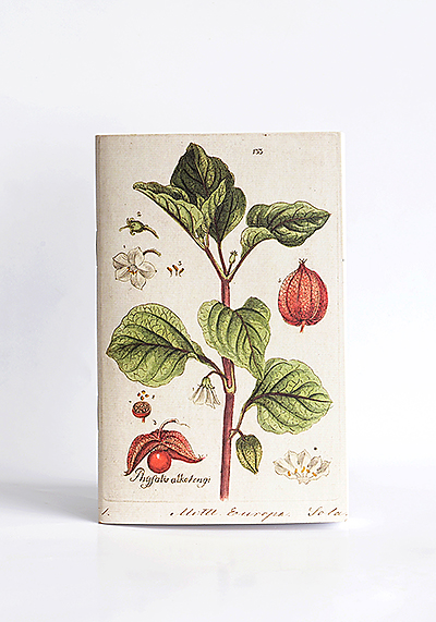 Изображение Блокноты Физалис (блокнот А6)