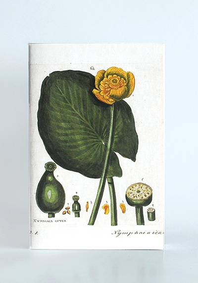 Изображение Блокноты Кувшинки (блокнот А5)