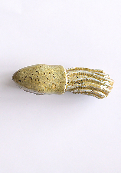 Изображение Магниты Магнит Морские обитатели, кальмар зелёный