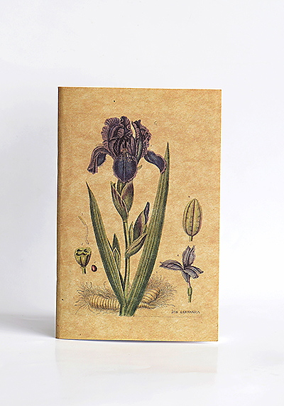 Изображение Блокноты Ирис (блокнот А6)