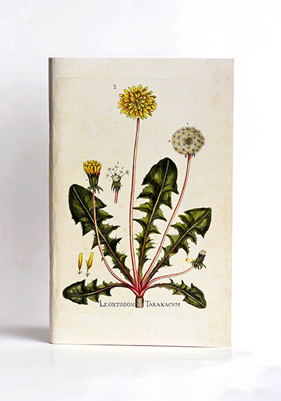 Изображение Блокноты Одуванчики (блокнот А5)